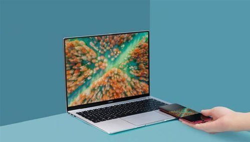 华为的云电脑怎么安装(华为的云电脑安装指南)