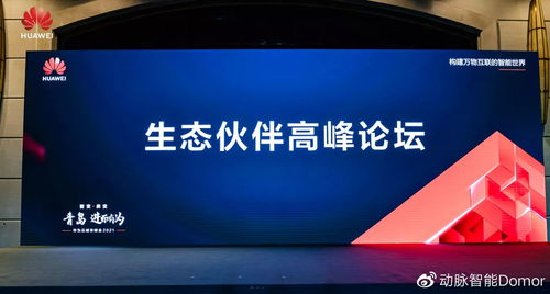 华为云电脑会议怎么定格(华为云电脑会议定格技术解析与应用指南)