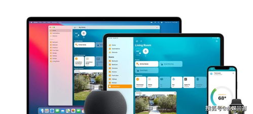 华为电脑 谷歌怎么用(华为电脑与谷歌应用的完美结合，高效工作与娱乐体验)