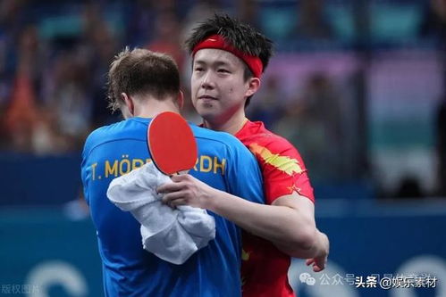 张本智和对阵王楚钦已8连败(张本智与大挑战，对阵王楚钦遭遇八连败的困境与反思)