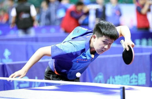 张本智和对阵王楚钦已8连败(张本智与大挑战，对阵王楚钦遭遇八连败的困境与反思)