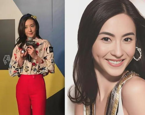 女孩街拍意外走红 神似张柏芝(女孩街拍意外走红，神似张柏芝，一次美丽的邂逅)