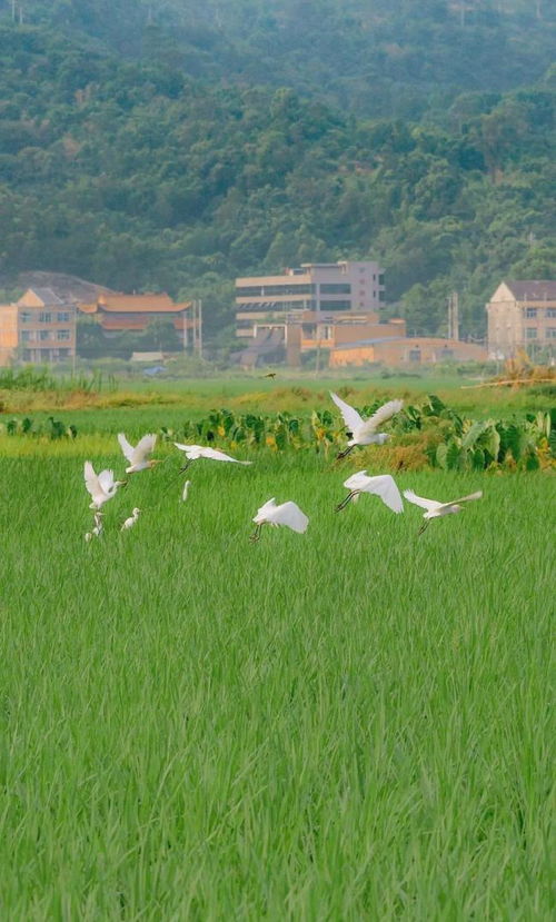 61岁演员刘金山回应女儿才9岁(刘金山，女儿九岁，人生舞台上的温情与坚持)