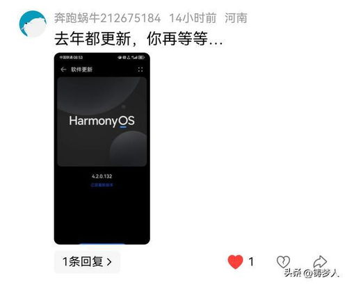 华为手机怎么不要升级