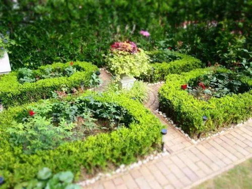 华为手机桌面怎么规整