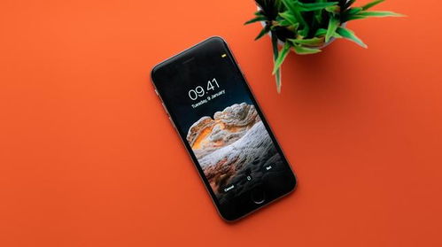 华为手机怎么拍海湾