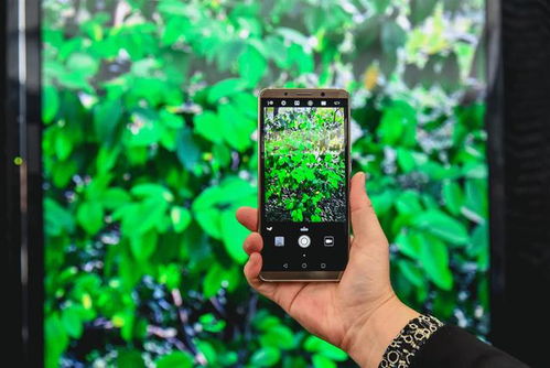 华为手机怎么ai绘图