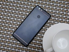 华为手机宠物怎么选