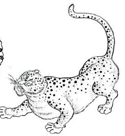 华为手机怎么画豹子 华为手机怎么画豹子