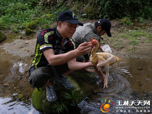 华为手机桌面怎么默认