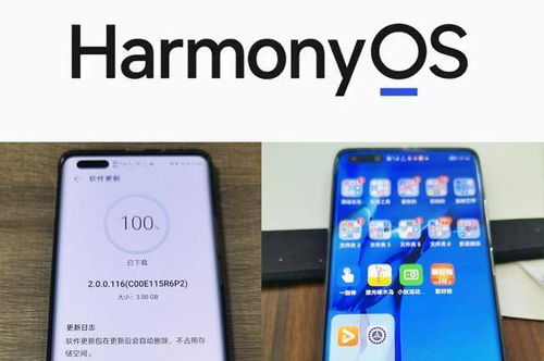 华为手机怎么更改鸿蒙