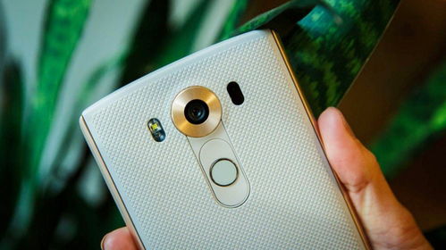 华为手机怎么按键不灵