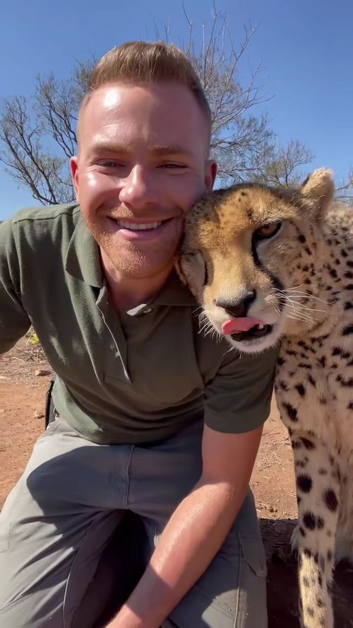 华为手机怎么调到桌面 华为手机怎么调到桌面