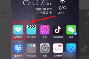 怎么确定正品华为手机