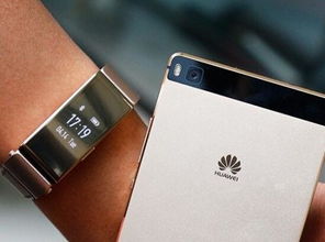 华为问道手机怎么下载