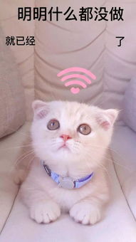 华为怎么删除手机墙纸 华为怎么删除手机墙纸