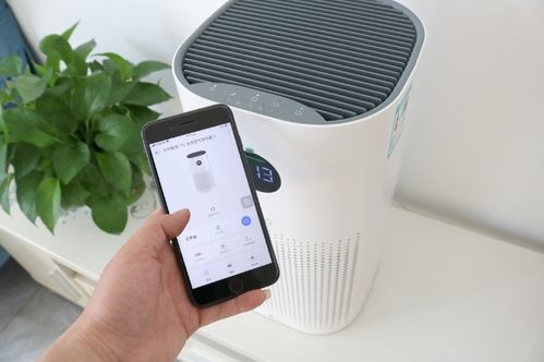 华为手机净化怎么关