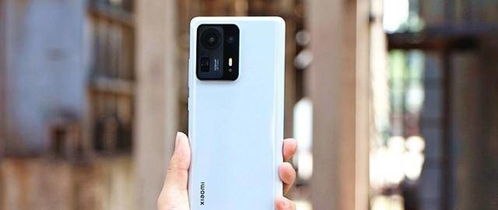 华为手机怎么可以倒放