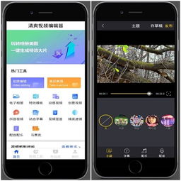 华为手机应用怎么大