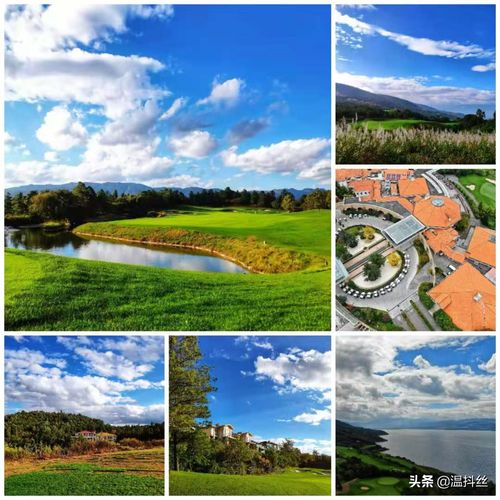 华为手机怎么拍摄秋景