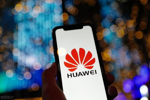 华为手机怎么上网飞