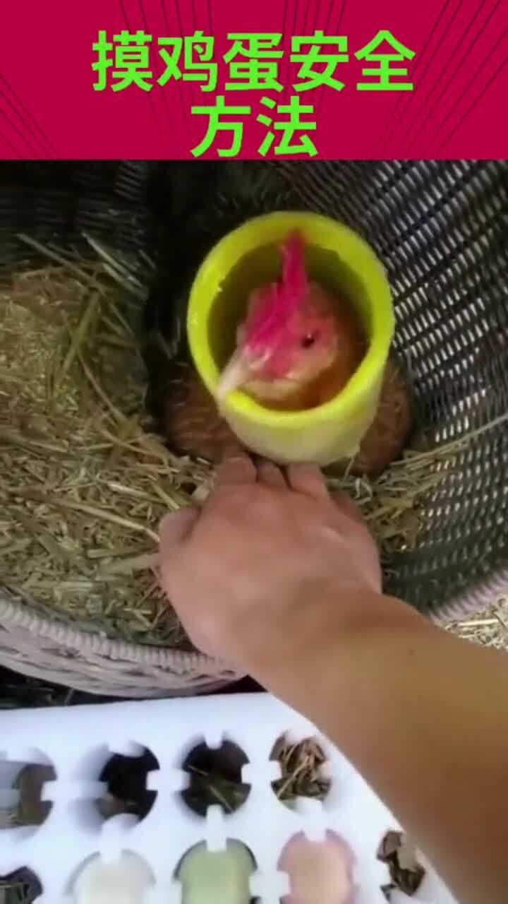 华为怎么录制手机桌面