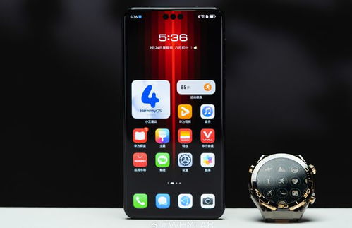 华为大师手机怎么购买