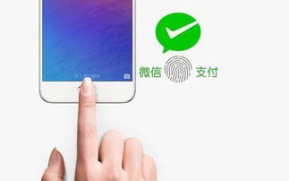华为手机怎么指纹付款