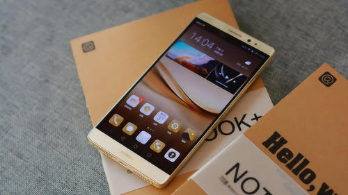 华为手机怎么下森林