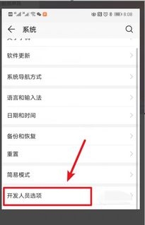 华为手机怎么删除白点