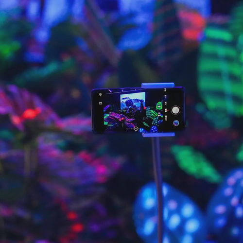 华为手机荧光怎么关闭