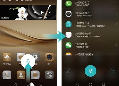 华为手机怎么找文案
