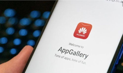 华为手机hms怎么开启