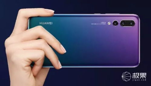 华为手机怎么拍摄芦苇 华为手机怎么拍摄芦苇