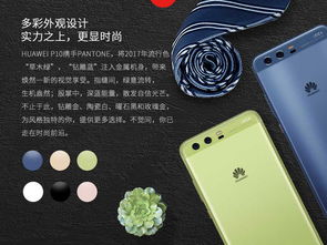 华为p手机怎么选