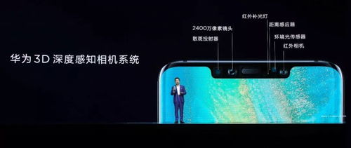 华为手机怎么分pro