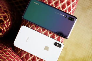 华为手机怎么拍花图片