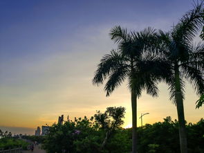 华为晚霞手机怎么拍 华为晚霞手机怎么拍