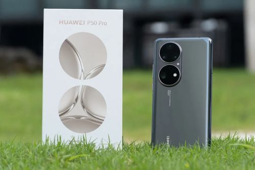 华为手机怎么拍树顶