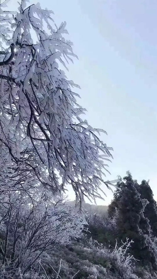 怎么安排手机桌面华为