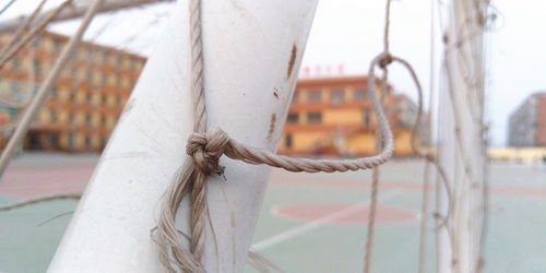 蛋糕怎么拍华为手机