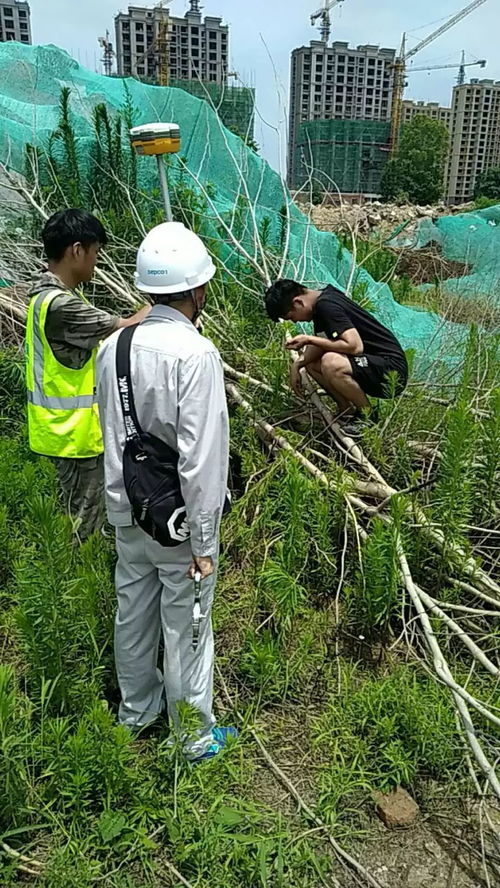 华为手机桌面怎么放