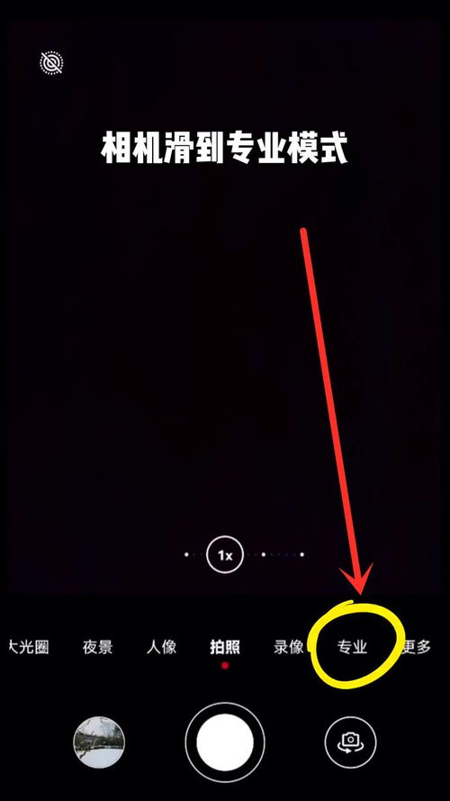 华为手机怎么拍雪柳