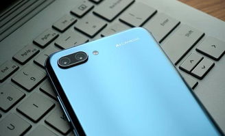 华为手机怎么拍好海鸥