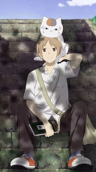 华为手机桌面怎么没了