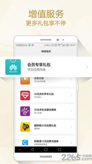 华为手机app怎么命名