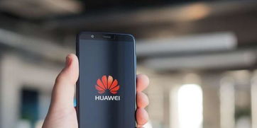 华为手机怎么装证书