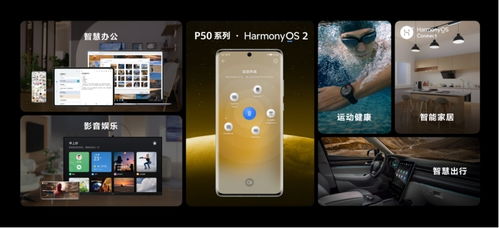 华为手机直播怎么选