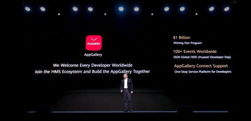 华为手机怎么查看hmcore