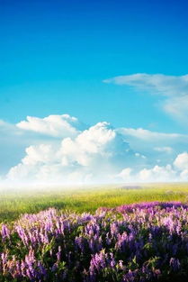 华为手机怎么换回桌面